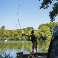 Fox Horizon X4 Black Rods